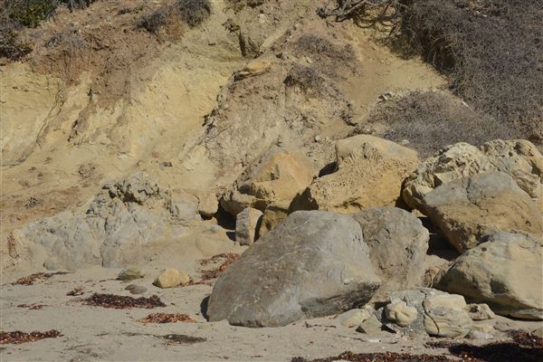 El Pescador State Beach @ Robert H. Meyer Memorial State Beach (SB) - CFC (11/14/2017 - Credits: Leo Fialho)