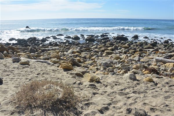 El Pescador State Beach @ Robert H. Meyer Memorial State Beach (SB) - CFC (11/14/2017 - Credits: Leo Fialho)