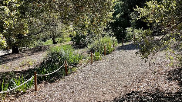 Descanso Gardens - California Garden (3/7/2022 - Credits: Leo Fialho)