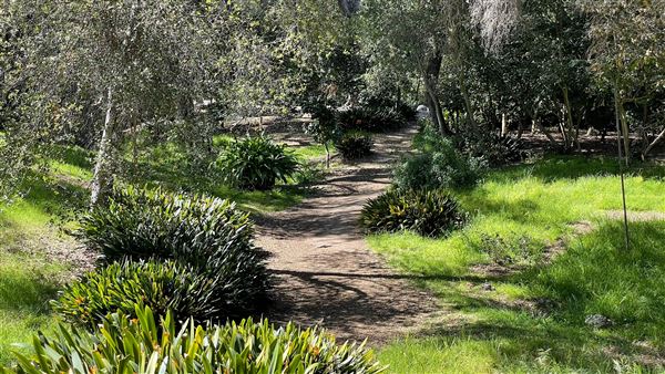 Descanso Gardens - Camellia Forest (3/7/2022 - Credits: Leo Fialho)