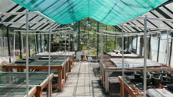 Descanso Gardens - Plant Propagation Greenhouse (7/26/2017 - Credits: Leo Fialho)