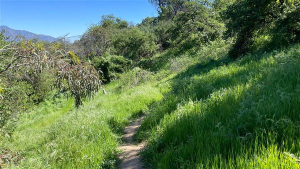 Descanso Gardens - Hopes Garden (3/7/2022 - Credits: Leo Fialho)