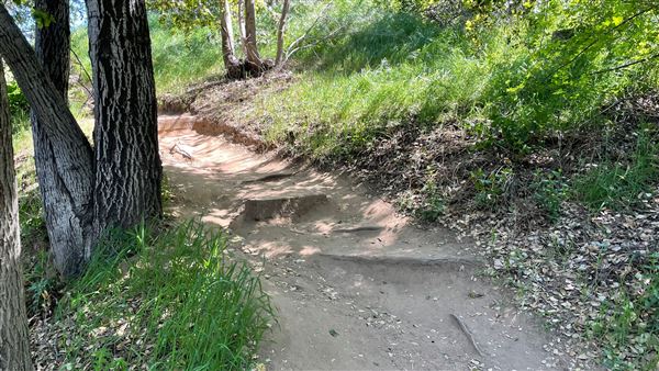Descanso Gardens - Hopes Garden (3/7/2022 - Credits: Leo Fialho)