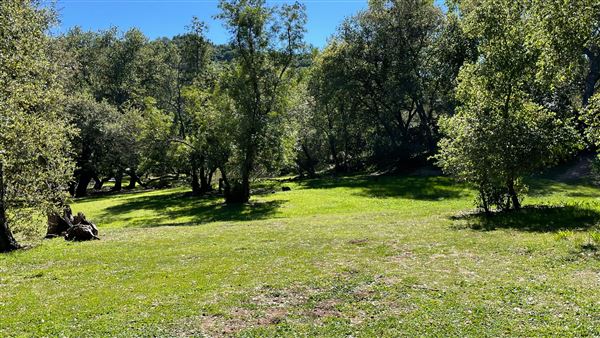 Descanso Gardens (3/7/2022 - Credits: Oak Grove)