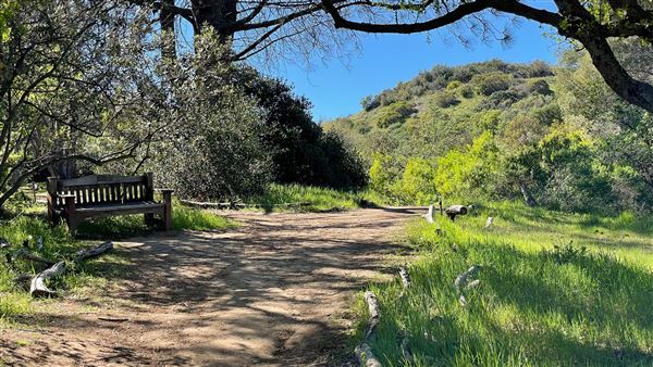 Descanso Gardens - Oak Woodland (3/7/2022 - Credits: Leo Fialho)