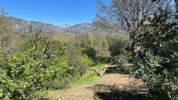 Descanso Gardens - Oak Woodland (3/7/2022 - Credits: Leo Fialho)