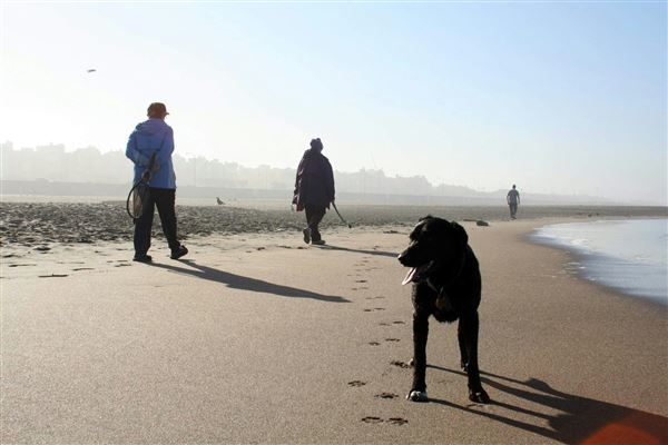 Ocean Beach (10/30/2025 - Credits: San Francisco City & County Film Commission)