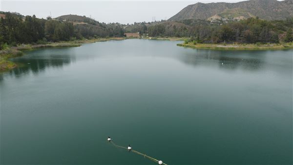 Hollywood Reservoir - LADWP (5/3/2016 - Credits: Leo Fialho)