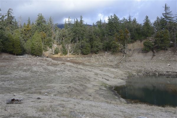 Crystal Lake Recreation Area / Campground - Angeles National Forest (1/30/2015 - Credits: Leo Fialho)
