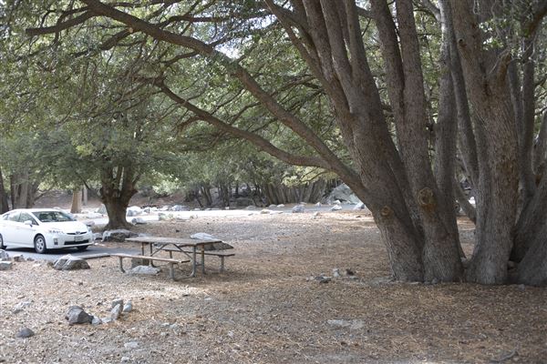 Crystal Lake Recreation Area / Campground - Angeles National Forest - Camping Loop A - Site 2 (1/30/2015 - Credits: Leo Fialho)