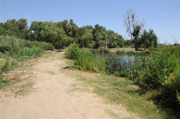Mojave Narrows Regional Park - Pelican Lake (7/6/2012 - Credits: Leo Fialho)