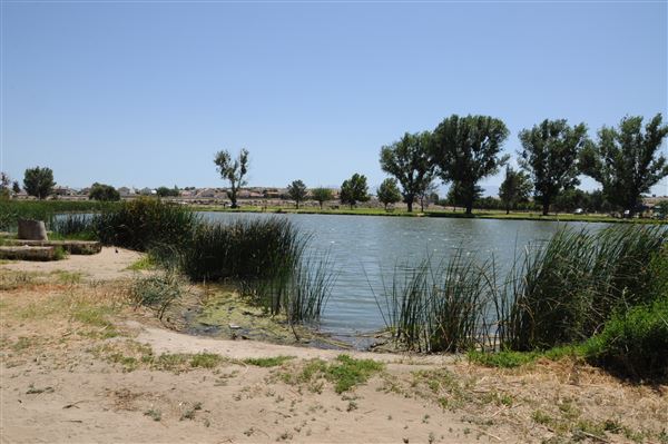 Mojave Narrows Regional Park - Pelican Lake (7/6/2012 - Credits: Leo Fialho)