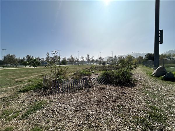 Rio de Los Angeles State Park (SP) - Taylor Yard - Inter Agency - LA City Parks & CA State Parks (11/3/2025 - Credits: Brandy Davis)