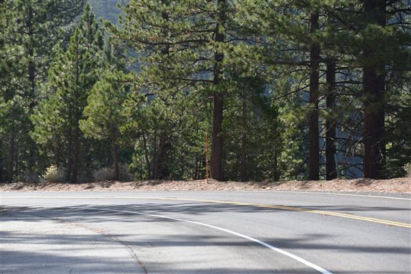 Angeles Crest Highway - SR2 - MM 61.65 (Outside TMZ) (11/16/2016 - Credits: Leo Fialho)