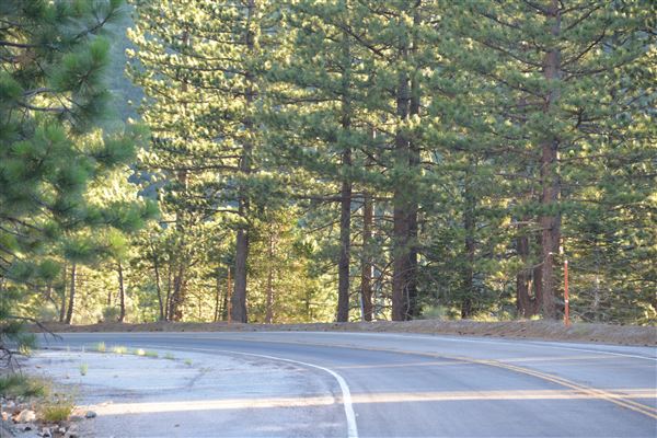 Angeles Crest Highway - SR2 - MM 61.80 - 60.0 Eagle's Roost (Outside TMZ) (7/28/2017 - Credits: Leo Fialho)