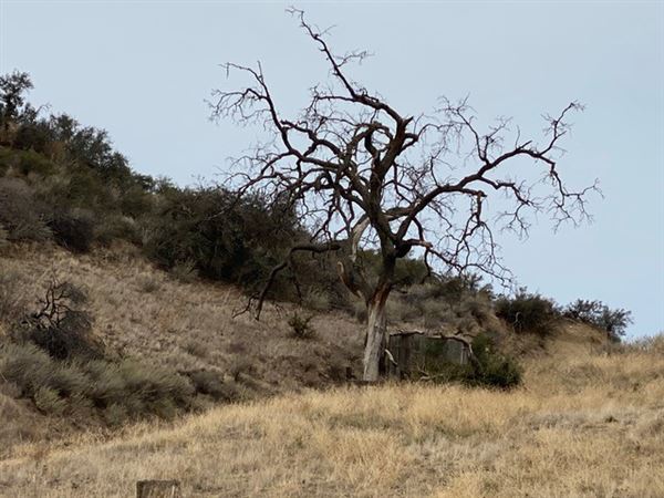 Big Sky Movie Ranch - Roads & Vistas & Forest (11/17/2025 - Credits: Owner)
