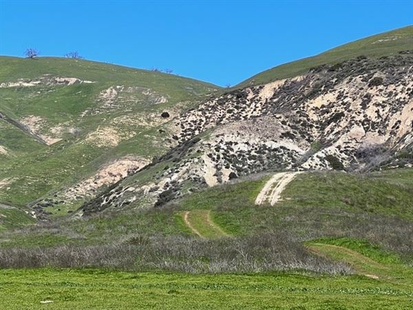 Big Sky Movie Ranch - Roads & Vistas & Forest (11/17/2025 - Credits: Owner)
