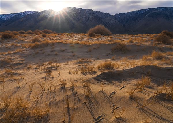 Olancha Sand Dunes - Bureau of Land Management - California Desert District - Ridgecrest Field Office - BLM - Off Highway Vehicle Area - OHV (12/4/2025 - Credits: Jesse Pluim - Bureau of Land Management)