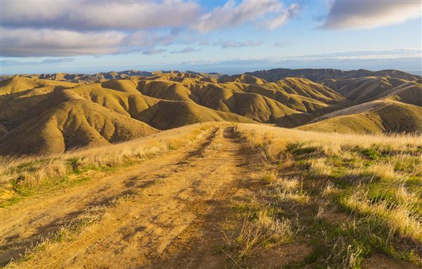 Panoche Hills - BLM (12/8/2025 - Credits: Jesse Pluim - Bureau of Land Management)