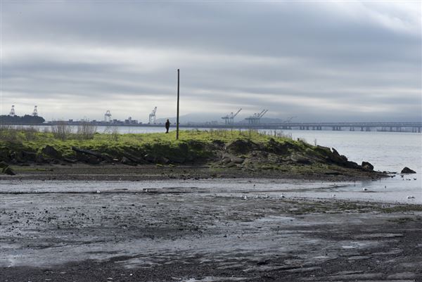 Albany State Marine Reserve - State Lands Commission (SLC) (2/2/2016 - Credits: Brian Baer)