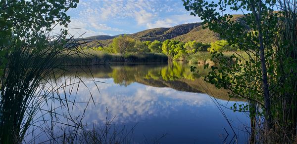 The Painted Turtle Camp - Lakes (7/17/2025 - Credits: David Halver)