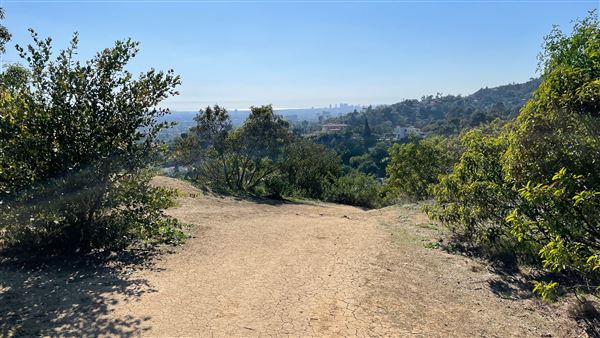 Griffith Park Redwoods - Cedar Grove - Cedar Grove Trail (3/16/2022 - Credits: Leo Fialho)
