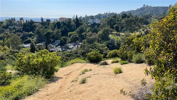 Griffith Park Redwoods - Cedar Grove - Cedar Grove Trail (3/16/2022 - Credits: Leo Fialho)