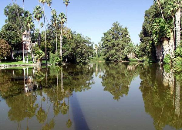 Los Angeles County Arboretum (12/31/2003)