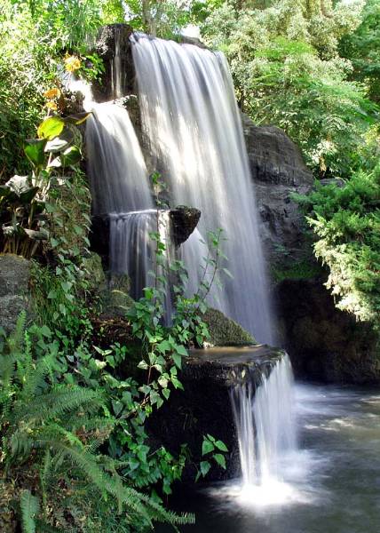 Los Angeles County Arboretum (12/31/2003)