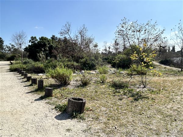 Peck Road Water Conservation Park (2/9/2026 - Credits: Brandy Davis)