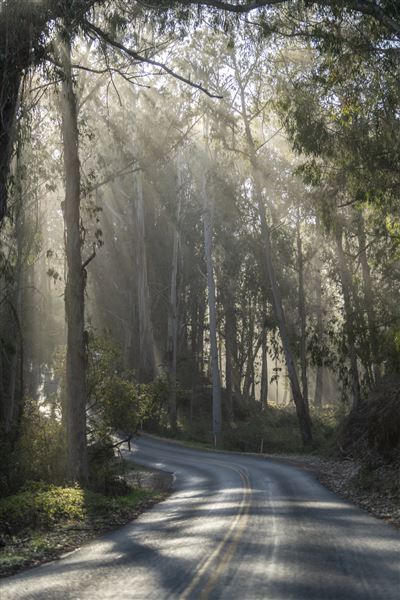 Montana de Oro State Park (SP) (12/1/2021 - Credits: Brian Baer)