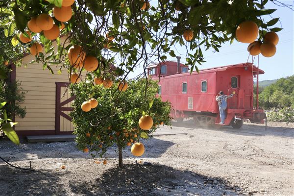 Sierra Northern Railway, Ventura Division (3/4/2026 - Credits: Sierra Northern Railway)