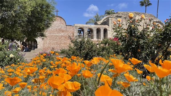 Mission San Juan Capistrano (3/4/2026 - Credits: submitted by: Kendra  Fluhr)