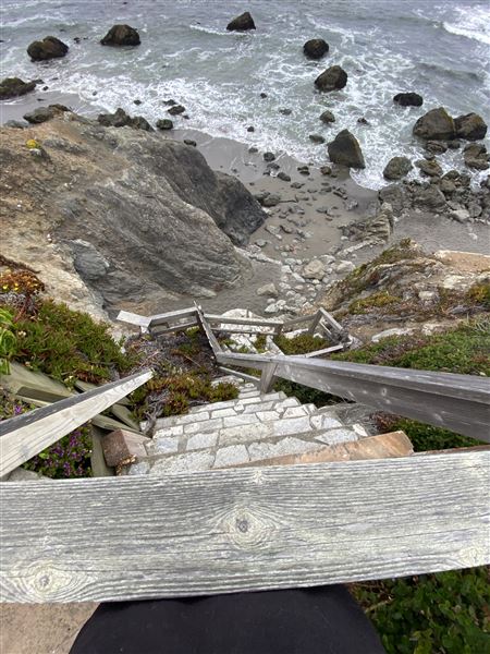 Best View on the Sonoma Coast (2/21/2026 - Credits: Me)