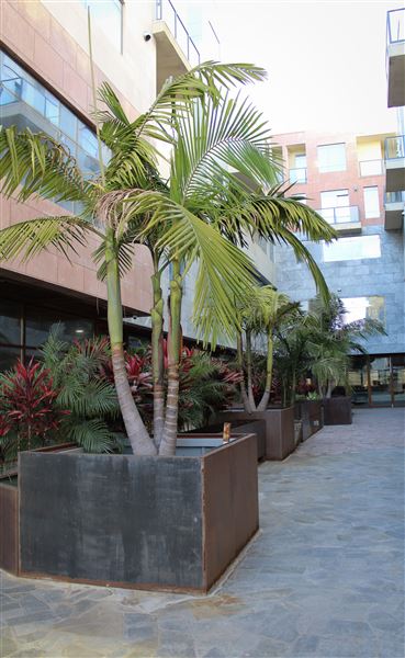5245 Santa Monica Blvd (3/10/2026 - Credits: Tree4ort)