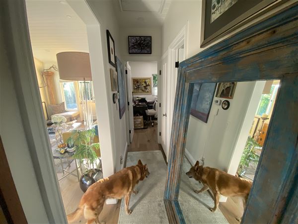 Chic Laguna Cottage (3/15/2026 - Credits: Susan Willig)
