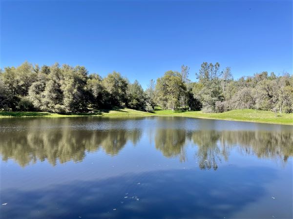 Aukum Ranch (3/20/2026 - Credits: Jon Masters)
