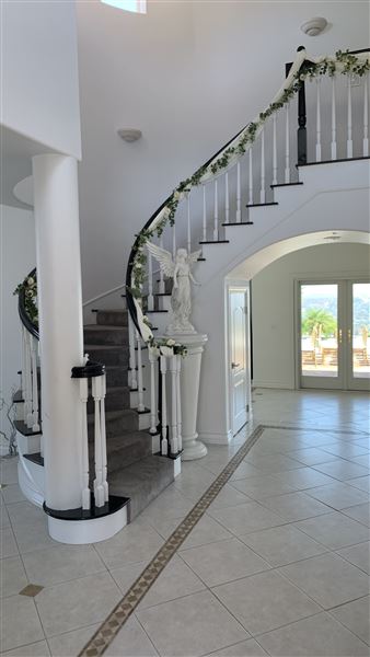 Paradise in the Sky (10/1/2025 - Credits: Thomas Romiski (self))