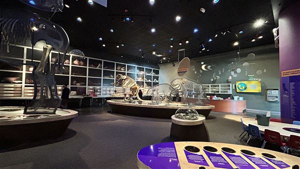 Wester Science Center (3/28/2026 - Credits: Brandy Davis)