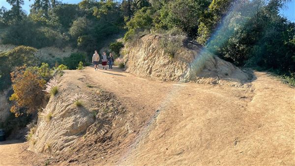 Boy Scout Trail - Griffith Park (3/6/2022 - Credits: Leo Fialho)