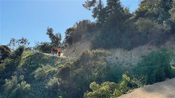 Boy Scout Trail - Griffith Park (3/6/2022 - Credits: Leo Fialho)