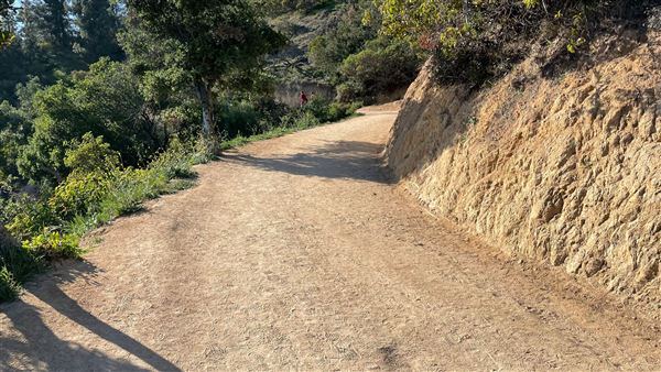 Boy Scout Trail - Griffith Park (3/6/2022 - Credits: Leo Fialho)
