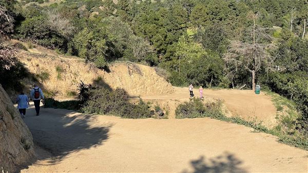 Boy Scout Trail - Griffith Park (3/6/2022 - Credits: Leo Fialho)