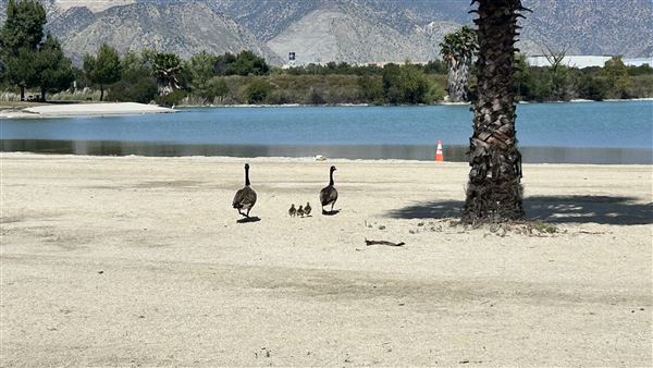 Santa Fe Dam Recreational Area - Lake (4/23/2026 - Credits: Brandy Davis)