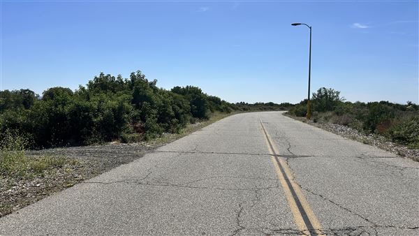 Santa Fe Dam Recreational Area - Road to Nature Center (4/23/2026 - Credits: Brandy Davis)