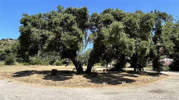 Peter Strauss Ranch - National Park Service (NPS) (5/8/2026 - Credits: Brandy Davis)
