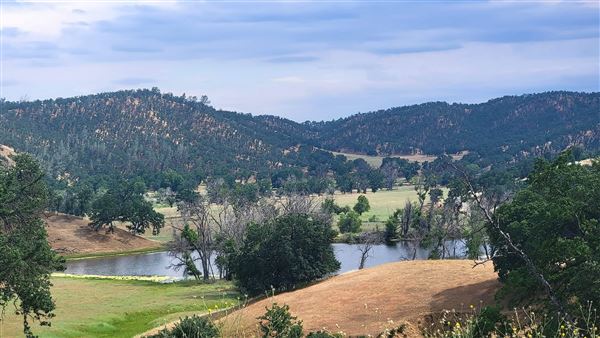 Solace Ranch & Vineyard (Credits: Solace Ranch)