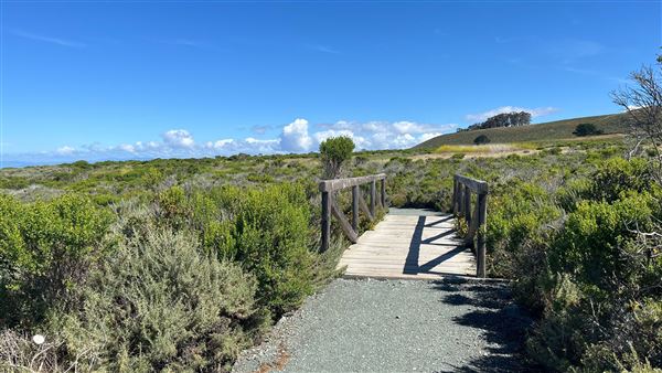 Montana de Oro State Park (SP) (4/22/2026 - Credits: Leo Fialho)