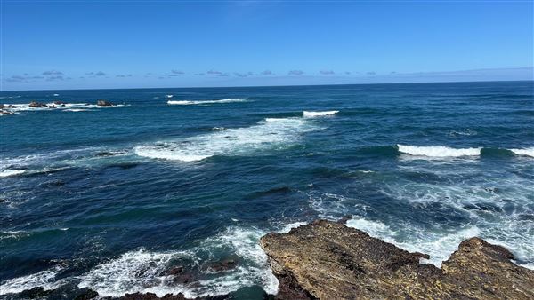 Montana de Oro State Park (SP) (4/22/2026 - Credits: Leo Fialho)