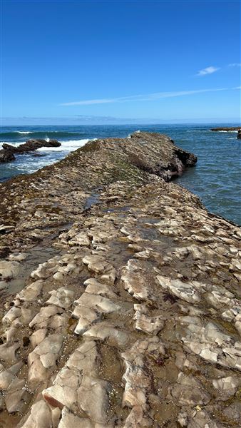 Montana de Oro State Park (SP) (4/22/2026 - Credits: Leo Fialho)